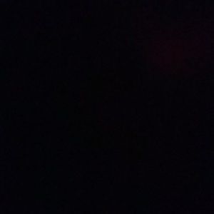 Meet your Posher, Justine